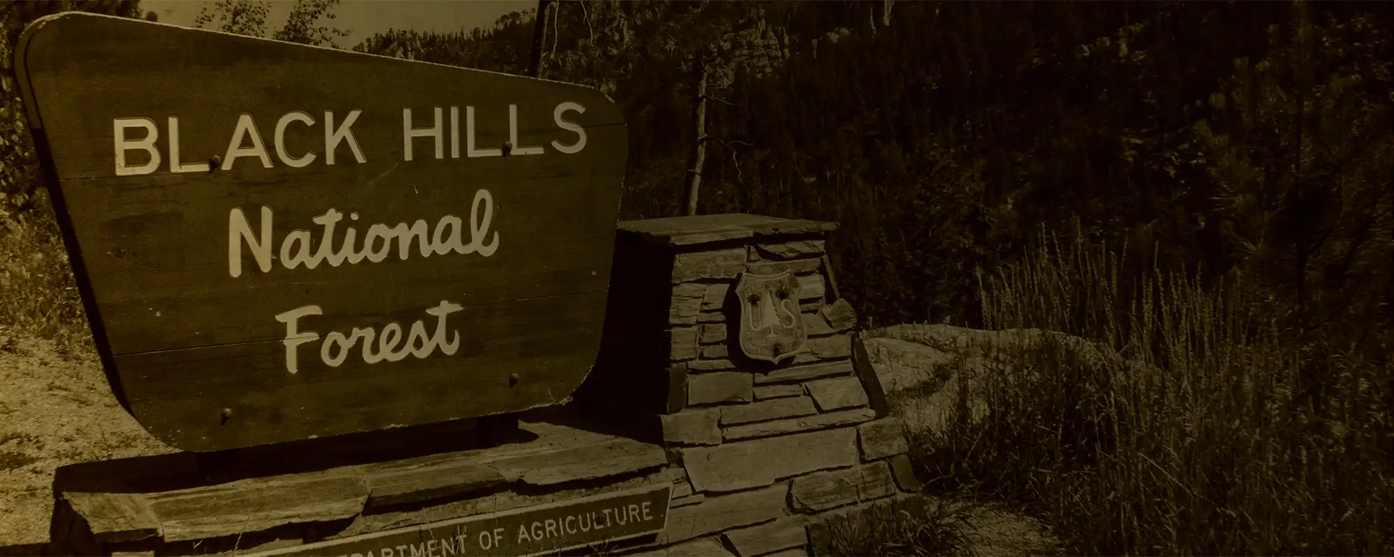 Black Hills National Forest sign